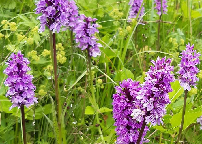 Lejlighed Alloggio Vinadio